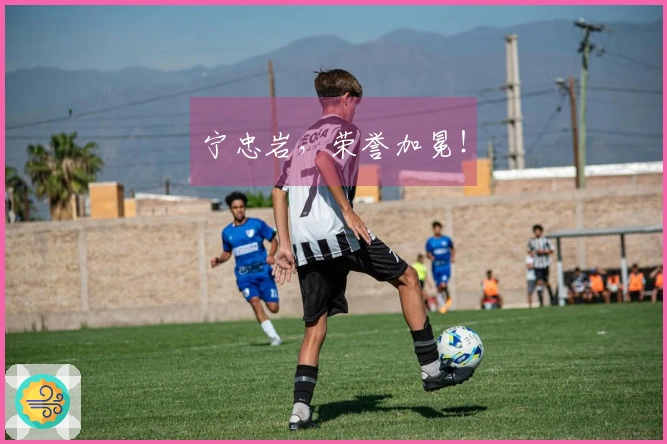 宁忠岩，荣誉加冕！
