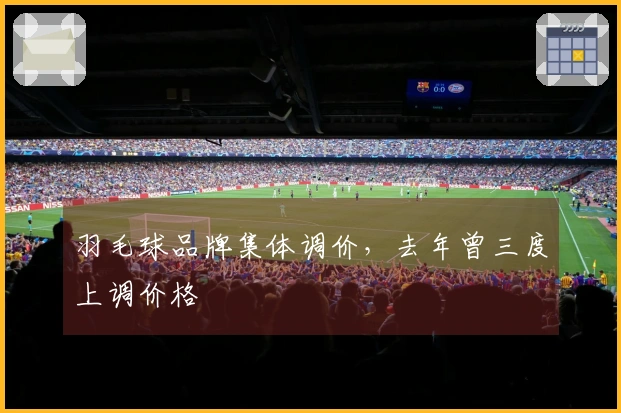 羽毛球品牌集体调价，去年曾三度上调价格