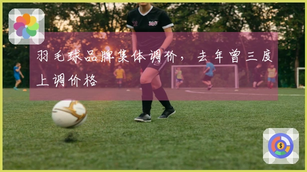 羽毛球品牌集体调价，去年曾三度上调价格