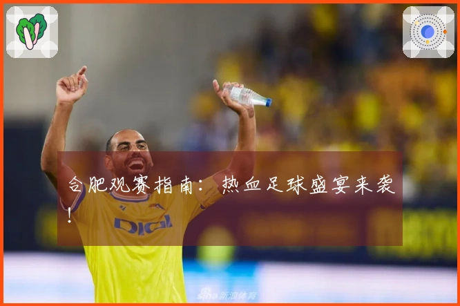 合肥观赛指南：热血足球盛宴来袭！