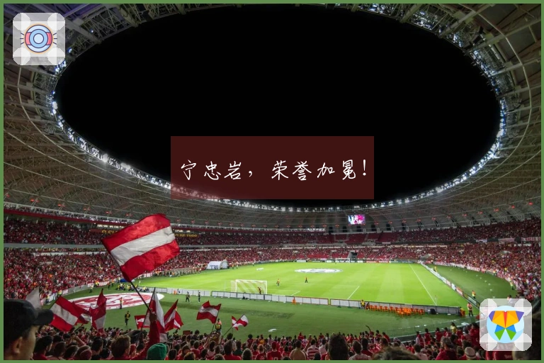 宁忠岩，荣誉加冕！
